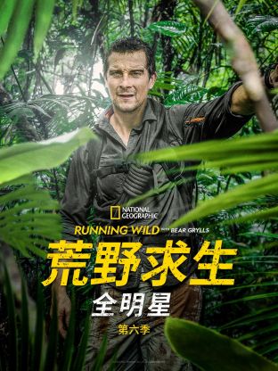 成人无插件电影